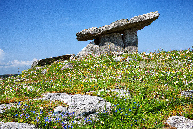 爱尔兰克莱尔郡Burren的Poulnabrone Dolmen门墓。